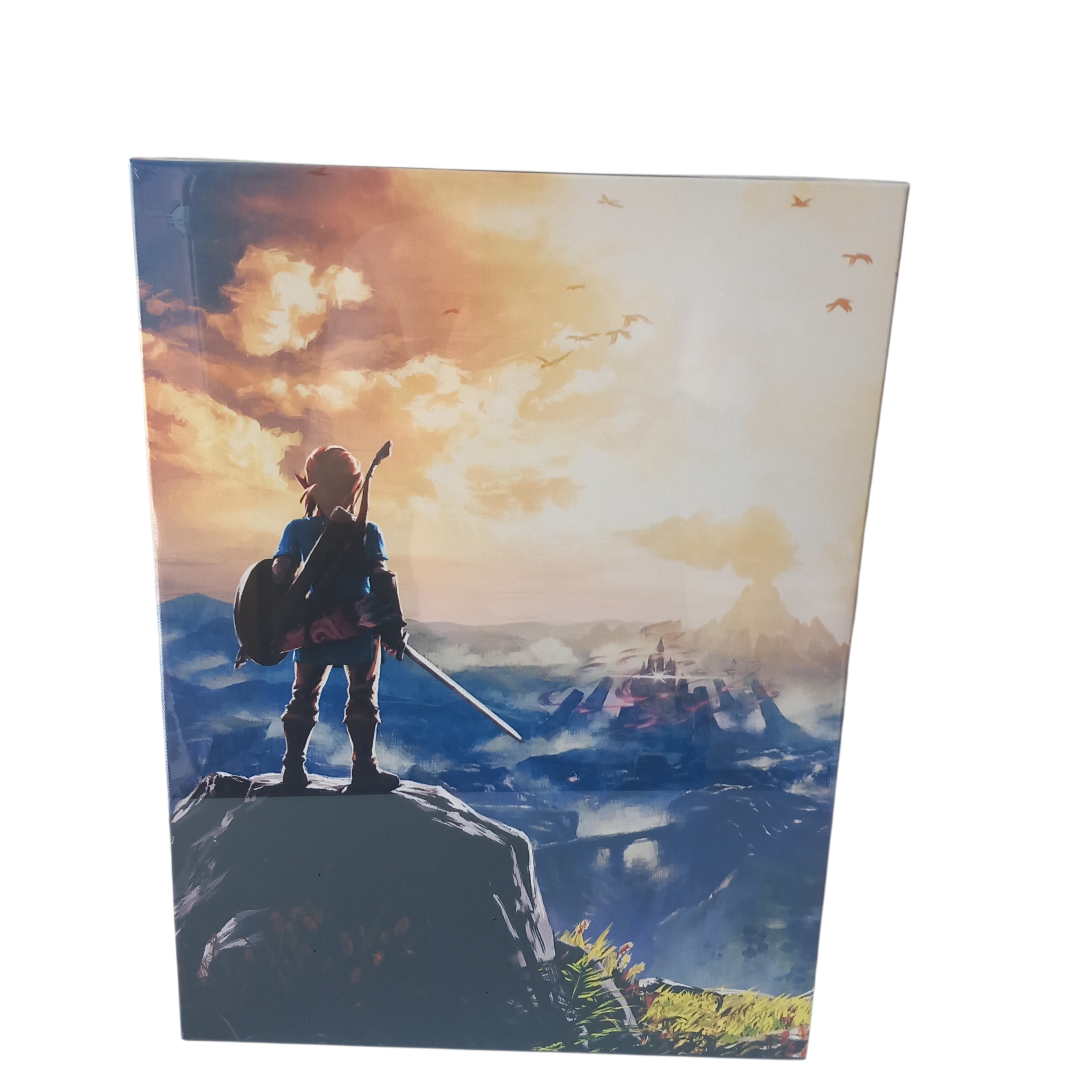 Toile lumineuse The Legend of Zelda Link, 30 × 40 cm, Nintendo, photo 3