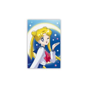 Sailor Moon